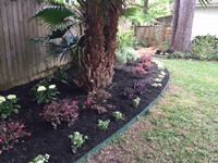 landscaping,design,texasplants